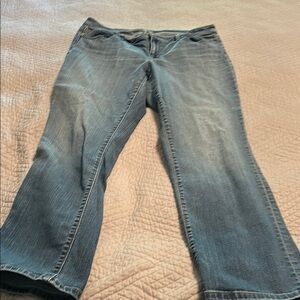 LOFT Light Blue Flare Jeans